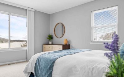 Seamless Leasing: The Art of Rental Agreements with Property Management Pros