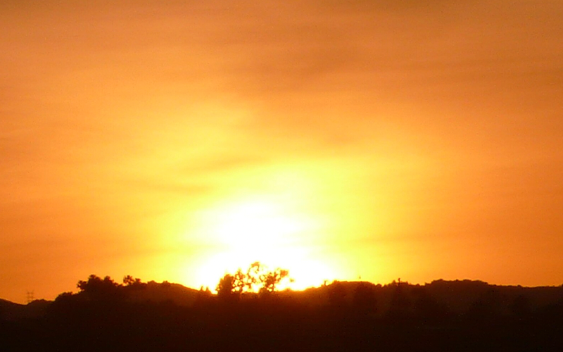 Benedict Canyon Property Management