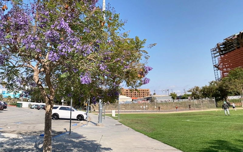 McManus Property Management