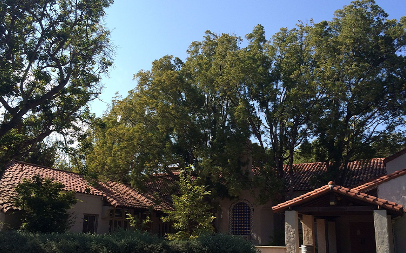 Rustic Canyon Property Management