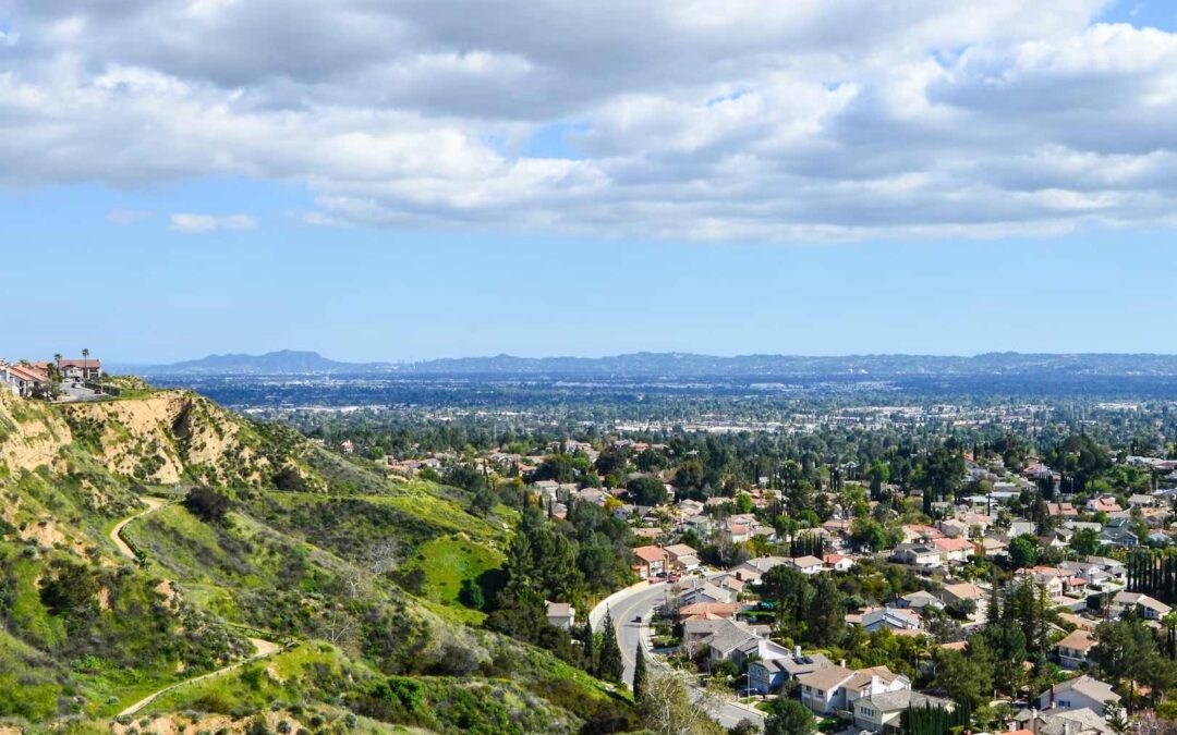 What Is Our Tenant Screening Process, and Which Criteria Do We Use?