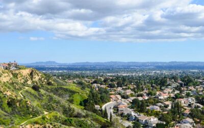 What Is Our Tenant Screening Process, and Which Criteria Do We Use?